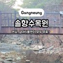 솔향수목원(전시온실) 이미지