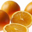 사진촬영 이미지