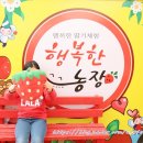 봉암리 할머니 | 딸기체험 농장 세종시 행복한농장 아이와 놀러가기 좋은곳