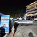 선유애견 이미지