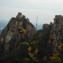 경포대주차장 이미지