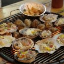 회 조개마을 이미지