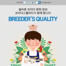 푸롱이네놀이터 이미지