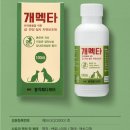 장천드림약국 네이버블로그
