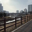 창곡천 | 위례 가볼만한곳 창곡천 수변공원 산책로 데이트 코스 추천