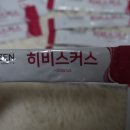 티젠 녹차공장 이미지