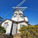 청춘풍차펜션 이미지