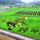 괴산꿀벌영농조합법인 이미지