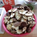 다해농장 이미지