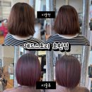 파리바게트회룡역점 | 회룡역 미용실, 회룡역 염색 잘하는 집 "레드스토리 호원점"