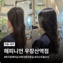 비타민&힐링헤어샵 | 화곡동헤어샵 해피니언 우장산역점 라오르 클리닉 후기