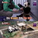 SC농장 이미지