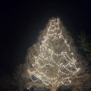 플레이랜드 캠핑장 | 청주 키즈캠핑장 더플레이그라운드 트램폴린 실내놀이터 도서관 동물농장 예약방법 봄 캠 후기