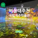 한라산똥돼지 | 비올때 제주도 박물관 (국립제주박물관, 실내 가볼만한 곳, 입장료)