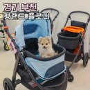 세이브존앞 | 부천 놀거리 펫랜드 플로디 강아지유모차 가격 시승 반려견동반