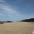 신두리5초 이미지
