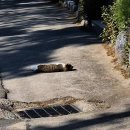 문암2리해변 | 나홀로 뚜벅이 고성 여행 첫 번째: 백촌막국수, 능파대, 문암해변, 백도해변