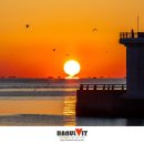 동선새바지 이미지