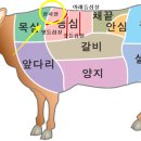 오성한우 이미지