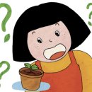 로즈버드플라워 이미지