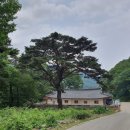 옹심이팥죽 티스토리