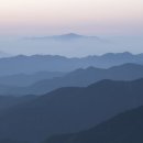 도투락리본 이미지