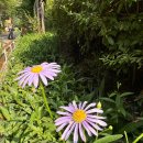 명지산 군립공원 공중화장실 네이버블로그