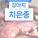 속초삼성동물병원 이미지