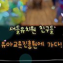새들유치원 이미지