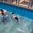 스테이커피 운암점 | 청주 평일 물놀이장｜방학 아이와 강아지가 함께 다녀온 오카키즈