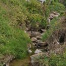 서재성모유치원 이미지