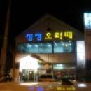 청정오리떼 이미지