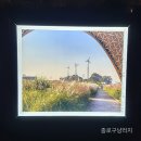 붕카센타 | 서울 상암 하늘공원 억새축제 야경 명소 및 핑크뮬리 위치
