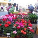 자유시장 이미지