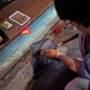 숲속애바다실내낚시터 이미지