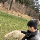 대한목장 | 제주 대한목장 홀스테라피 후기｜서귀포 남원 이색체험 추천(20분 35,000원)