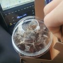 이디야성서점