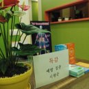 연세문상영의원 이미지