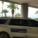 라도 콜라텍 이미지