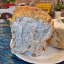 포천쌀상회 이미지