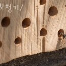 굿모닝 보청기 용인센터 이미지