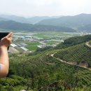 진솔2농장 이미지