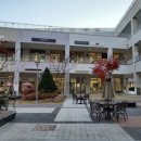 미성삼거리(40007~9) | 아에이오우[89]이천프리미엄아울렛, 킨텍스,올림픽공원,족발,돈까스,알탕,광어회,중국집