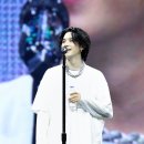 슈가네 이미지
