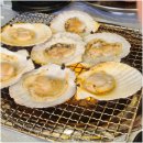 친구네조개구이횟집 | 울산 동구 맛집 살아있네 일산점에서 친구들이랑 조개구이 먹은 후기