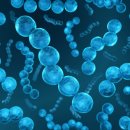 마이크로바이오텍 이미지