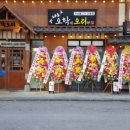 날마다 오리 이미지
