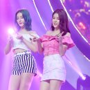 오프더데이지 이미지