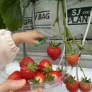 세용 농장 이미지