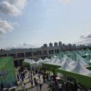 2025 올리브영 페스타 프리뷰 후기 올영어워즈 꿀팁